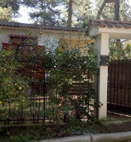 For sale land  of 534 sq.m . with house in the elite area of Drosia, Attica. The plot is angular with two entrances on both roads it contains a building of 1970, 80 sq.m. in very good condition. Consists of a living room with fireplace and another ro...