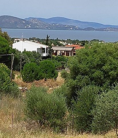NEA MAKRI, Attica. For sale a plot of 903 sq.m.(23×45), within the city plan, amphitheater, building coefficient 0.4, coverage ratio 0,4, 2 sides, frontage 23 m., buildable, builds 271 sq.m., airy, with water and electrical connection, fencing, unres...