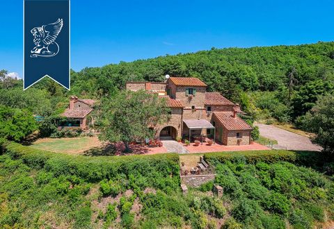 In a stunning panoramic position on the hills around Arezzo, this typical Tuscan farmhouse with an outbuilding for sale offers a big garden with an olive grove, a pool and a tennis court. Renovated with a great taste for luxury, this property consist...