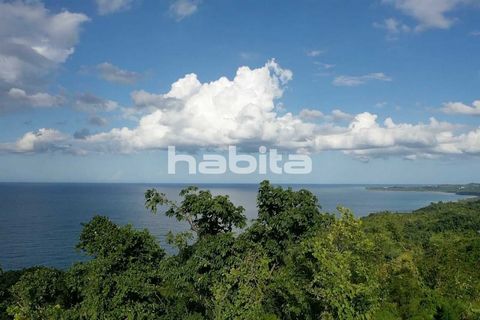 Incredible mountain with flat area for constructions, covered with amazing vegetation that goes straight to the ocean, creating a breeautiful very private beach owners can enjoy if developping housing project or resort. It has a 360 degree view on th...