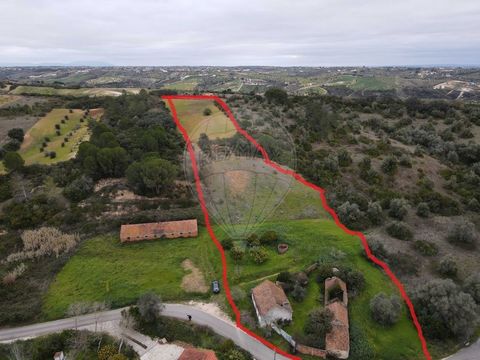 This farm in Malaqueijo, Rio Maior, offers a house of 224m2 to recover, with a plot of 11200m2 with well and fruit trees. It is a unique opportunity for those looking for a green space to live in or create an agricultural business. With its large lan...
