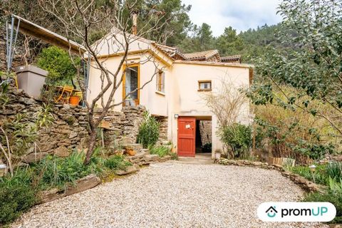 Discover this incredible real estate property located in Chambon, which will seduce you with its authentic charm and multiple amenities. With a total of two character farmhouses, this property offers exceptional living space and a serene atmosphere, ...