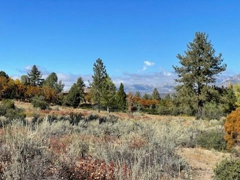 Great opportunity for a beautiful view lot and still have loads of privacy. Over 6 acres looking out to the San Jacinto Mountain range. Lovely meadows and towering pine trees make for the perfect location to build your dream home and plenty of room f...