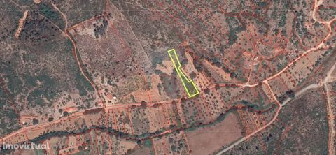 I present you magnificent land located in the parish of Sabacheira, with an unobstructed view and a lot of greenery.  With 1400m2 of area, being according to the current PDM, Natural space. The village is located between Tomar and Ourém, cities divid...