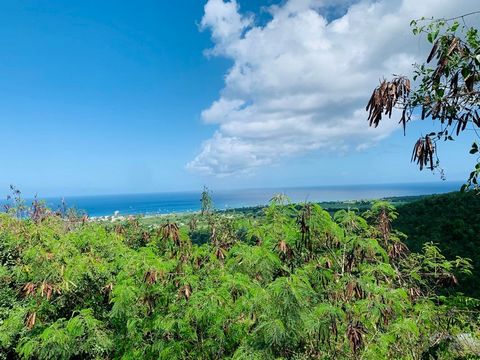 Spectacular Caribbean Sea and sunset views! These adjoining lots encompass over an acre of lush terrain, ripe for development. The property has breathtaking western sea views, flourishing emerald valleys, and a picturesque view of the Frederiksted pi...