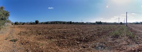 Located only 4 minutes drive from Manacor in a mixed agricultural and residential area. Currently the property has water supply and is exploited in semi-intensive agriculture with irrigation. This plot is square shaped and totally flat, ideal for the...