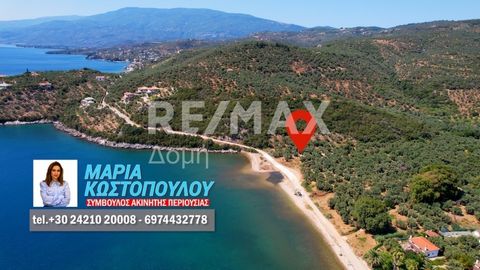 Μαρία Κωστοπούλου: Real Estate Consultant, member of the Sianos Papageorgiou team and RE/MAX Domi office. Property Code: 25316-10560 FOR SALE exclusively: a buildable level plot of land with a total area of 9,613 sq.m. in Argalasti, Lefokastro. The p...