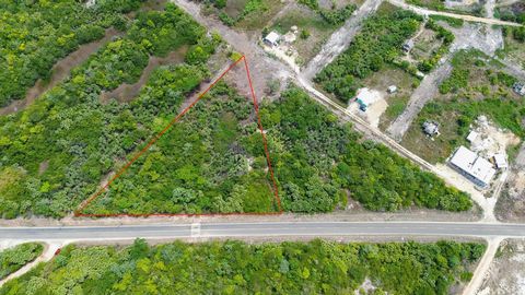 Located mere steps away from Hopkins's renowned dining, lodging, and picturesque beaches, this triangular lot spans 1.83 acres of promising opportunity.  Positioned strategically in a prime location, this parcel stands out along the main road that di...