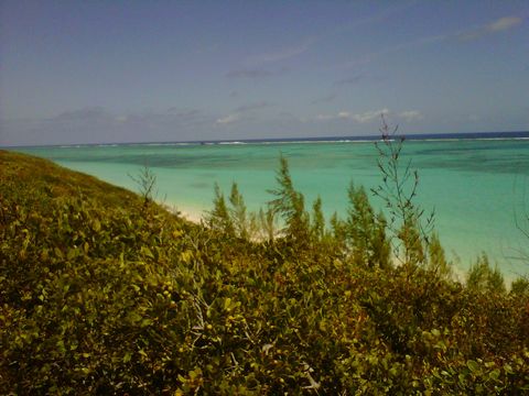 Splendido lotto residenziale sopraelevato fronte mare e vista sull'oceano in vendita a Pumpkin Bluff sull'isola di North Caicos. Dalla strada questo lotto sale dolcemente man mano che ti avvicini all'oceano fornendo un posto eccellente per costruire ...