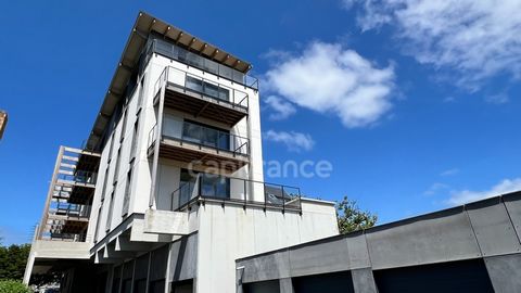 photo no. 2