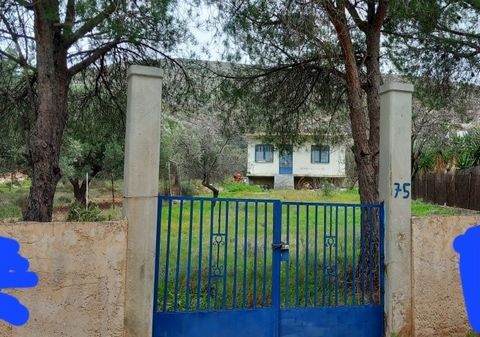 For Sale Detached house, Kalyvia 38sq.m ,Ground floor , 1 Bedroom/s ,1 bath/s , 1984 built year , features: Airy, Not Roadside, Bright ,  price: 70.000€ Features: - Garden