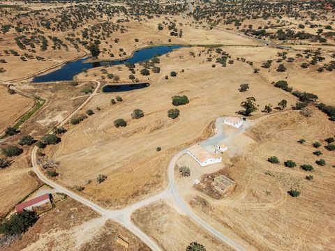 Land of 79 ha, located near Almodôvar, with an agricultural pavilion of 1400 m2, two houses, 1 ruin, 5 boreholes and a small dam. This property is an excellent opportunity for those looking for a place to live and/or to create a business. The land ha...