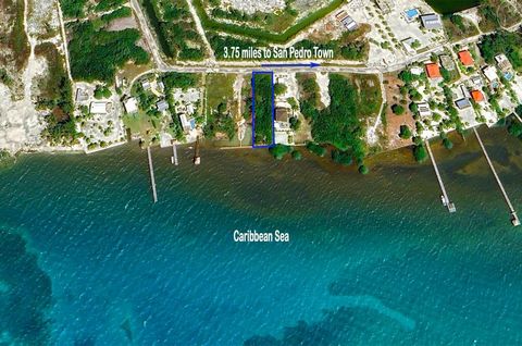 The two lot combo (one beachfront lot 65’x 100’ and one road side lot 65’x 85’) is located 3.75 miles south of San Pedro Town with great road and boat access.  The property is high and dry and features, two titles, seawall, electricity, cable TV, hig...