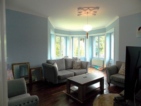 photo no. 6