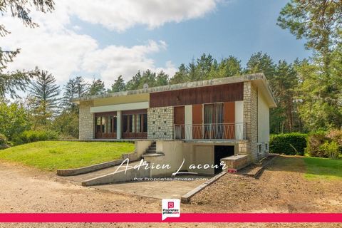 A PRUNIERS-EN-SOLOGNE (41200) - MAGNIFIQUE MAISON d'architecte des années 70 avec toit terrasse se composant au rez-de-chaussée d'un salon/séjour, d'une salle à manger, d'une cuisine indépendante, de 3 chambres, d'une salle de bain et d'un wc indépen...