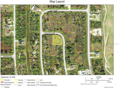 Discover this spacious 14,814 sq. ft. (.34-acre) lot, located on a paved road in Port Charlotte. Situated in an X flood zone, no flood insurance is required. According to the Charlotte County GIS map, it's not in a scrub jay area, and electricity is ...