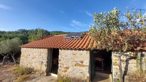 Mitten in der Serra de Penha Garcia, in der Gegend von Ribeiro do Reca, die, wie der Name schon sagt, einen Bach durchquert, was bedeutet, dass sie das ganze Jahr über Wasser führt, finden wir dieses rustikale Land mit einem Gebäude in ausgezeichnete...