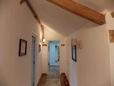 photo no. 11
