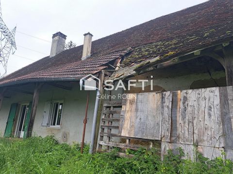 photo no. 16