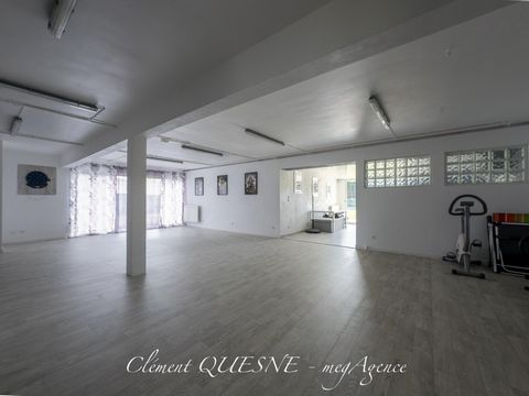 photo no. 11