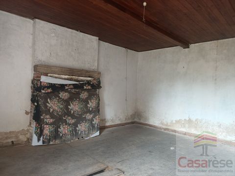 photo no. 8