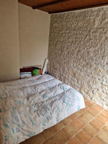 photo no. 9