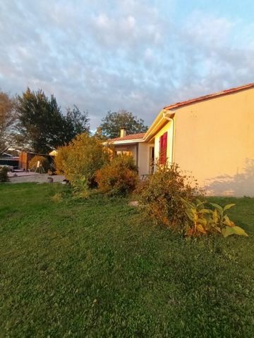 photo no. 12
