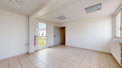 photo no. 10
