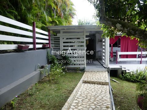 photo no. 7