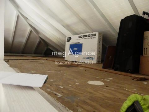 photo no. 8