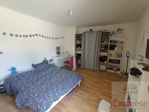 photo no. 8