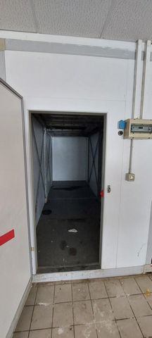 photo no. 5