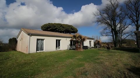 photo no. 11