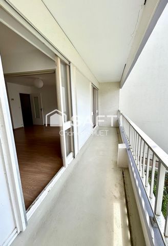 photo no. 10