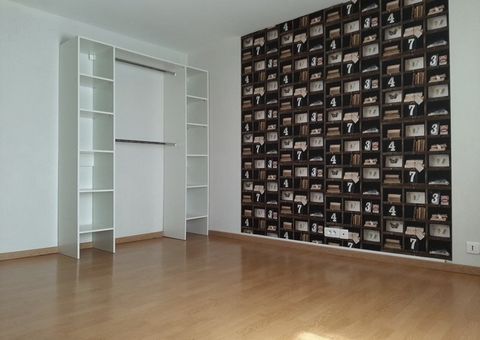 photo no. 2