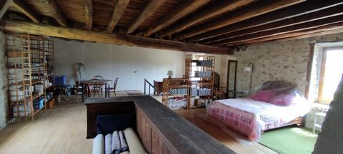photo no. 13