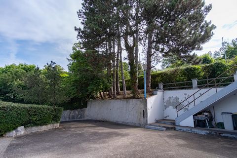 photo no. 14
