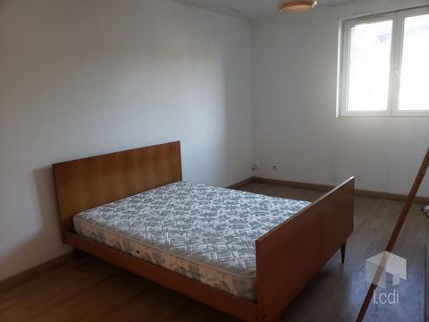 photo no. 6