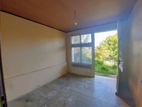 photo no. 12