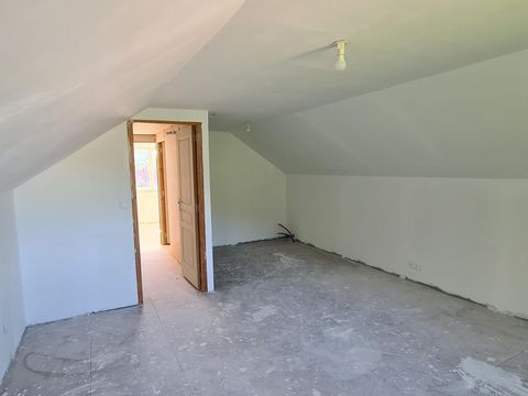 photo no. 16