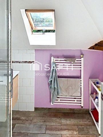 photo no. 5