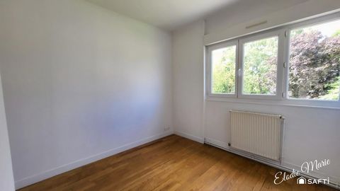 photo no. 12