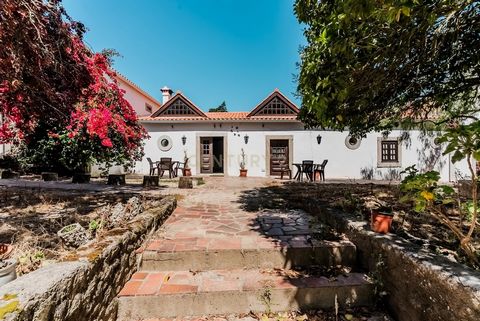 Situada na pitoresca vila da Lourinhã, esta extensa propriedade agrícola de 226 720 m² oferece uma oportunidade única de investimento com a sua mistura de charme rústico e comodidades modernas. A propriedade possui uma casa senhorial renovada, compos...