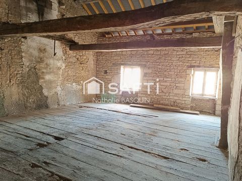 photo no. 10