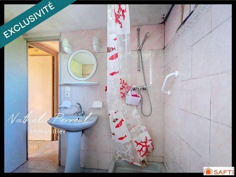 photo no. 11