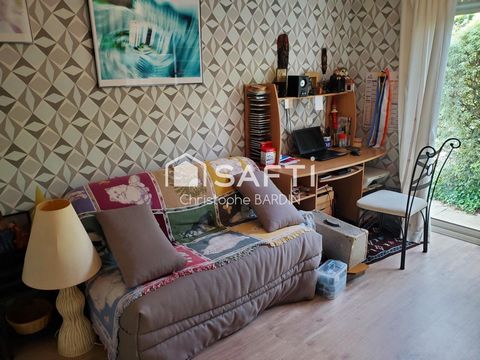 photo no. 11