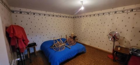 photo no. 5