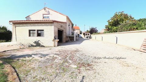 photo no. 1
