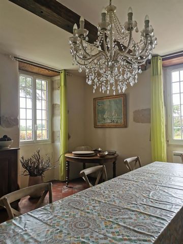 photo no. 9