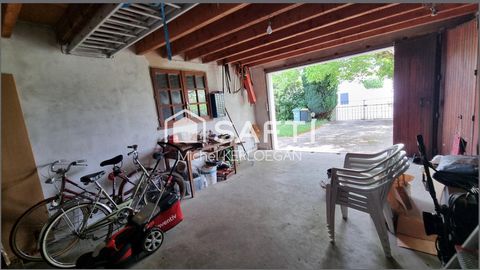 photo no. 11